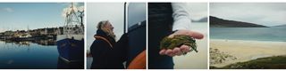 Coastline, boats and seaweed in the Outer Hebrides