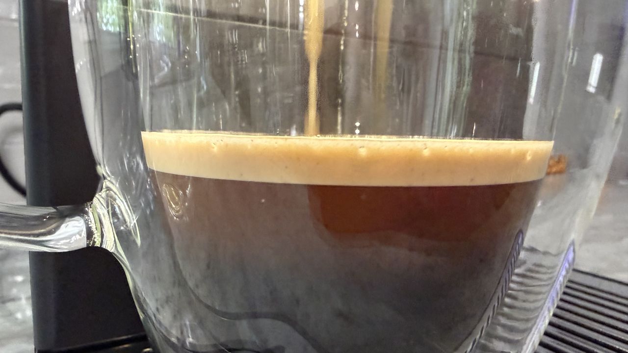Terra Kaffe Demi drip coffee