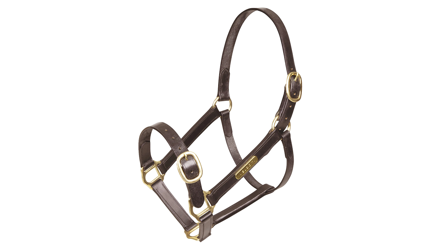 Shires Velociti Gara Fully Adjustable Leather Headcollar