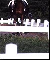 FD60F362-D194-4500-8E8B-7E919D2FF784.jpg