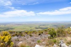 Fynbos near Napier inSouth Africa