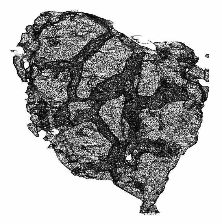 Model of fossil sponge