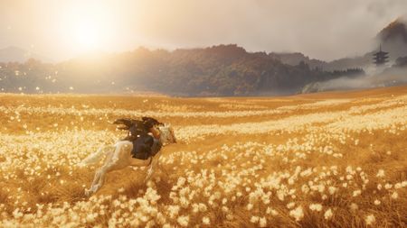 Atsu rides across a golden field