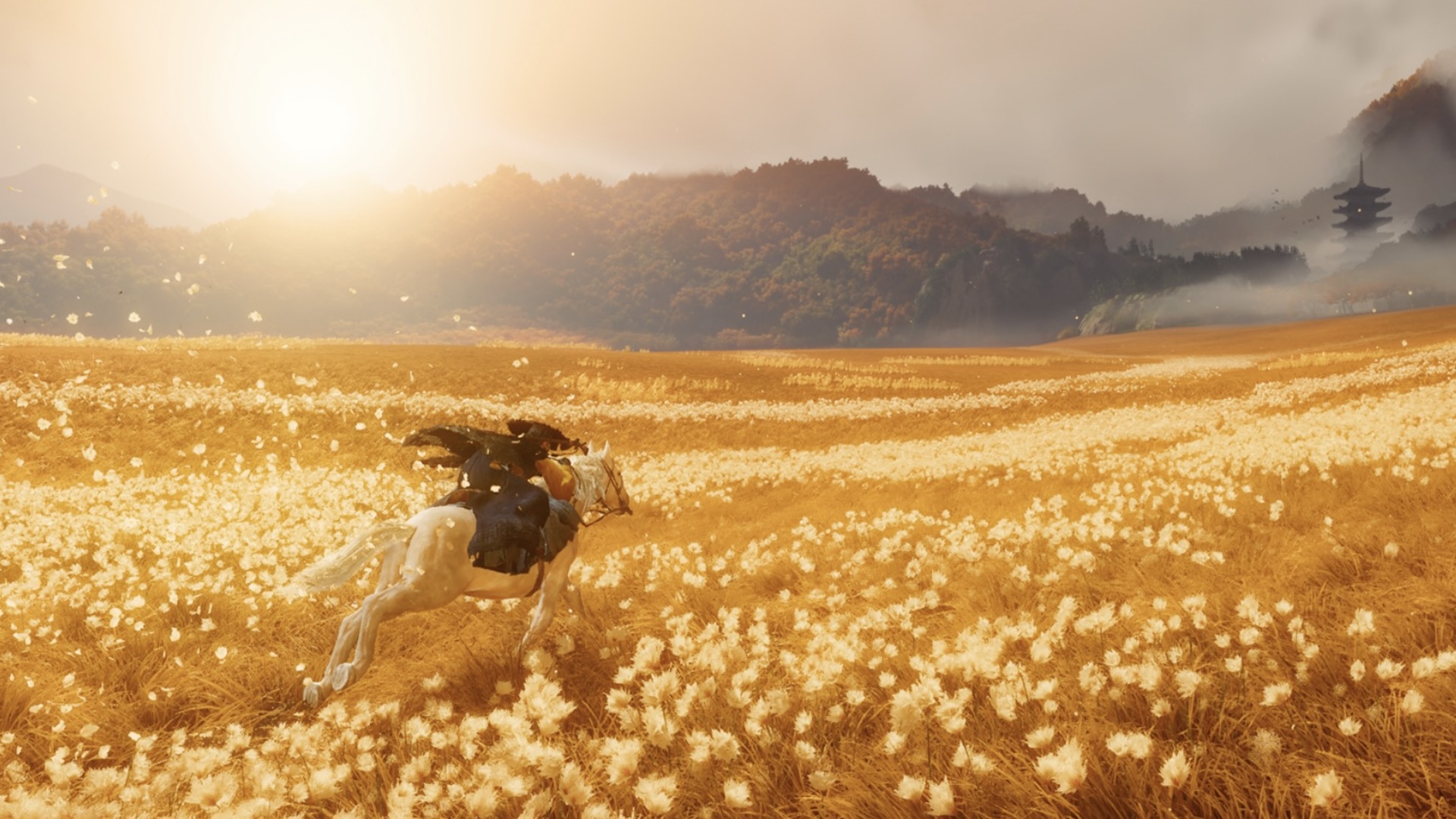 Atsu rides across a golden field