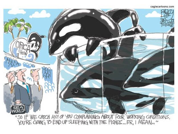 Editorial cartoon Sea World Shamu