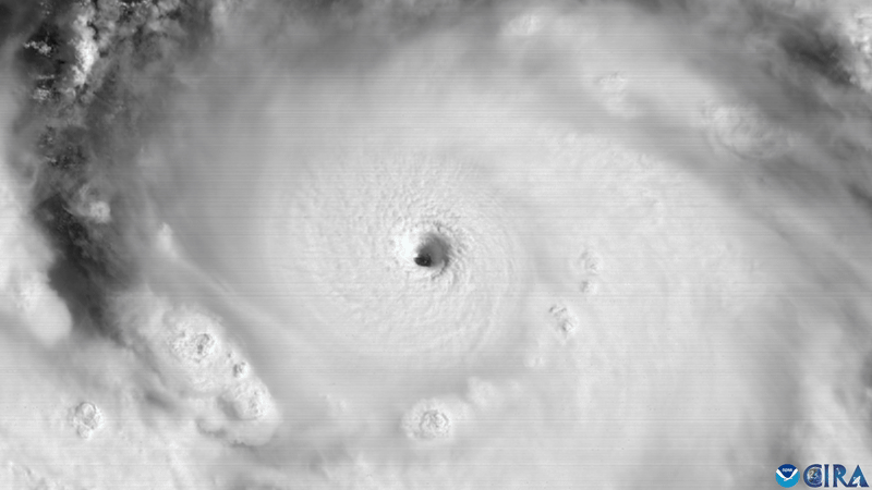 A GIF of Hurricane Erin intensifying to Category 5 status, taken from the GOES-19 satellite. 