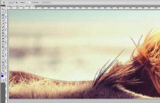 close up of horse in Photoshop with regular Lasso