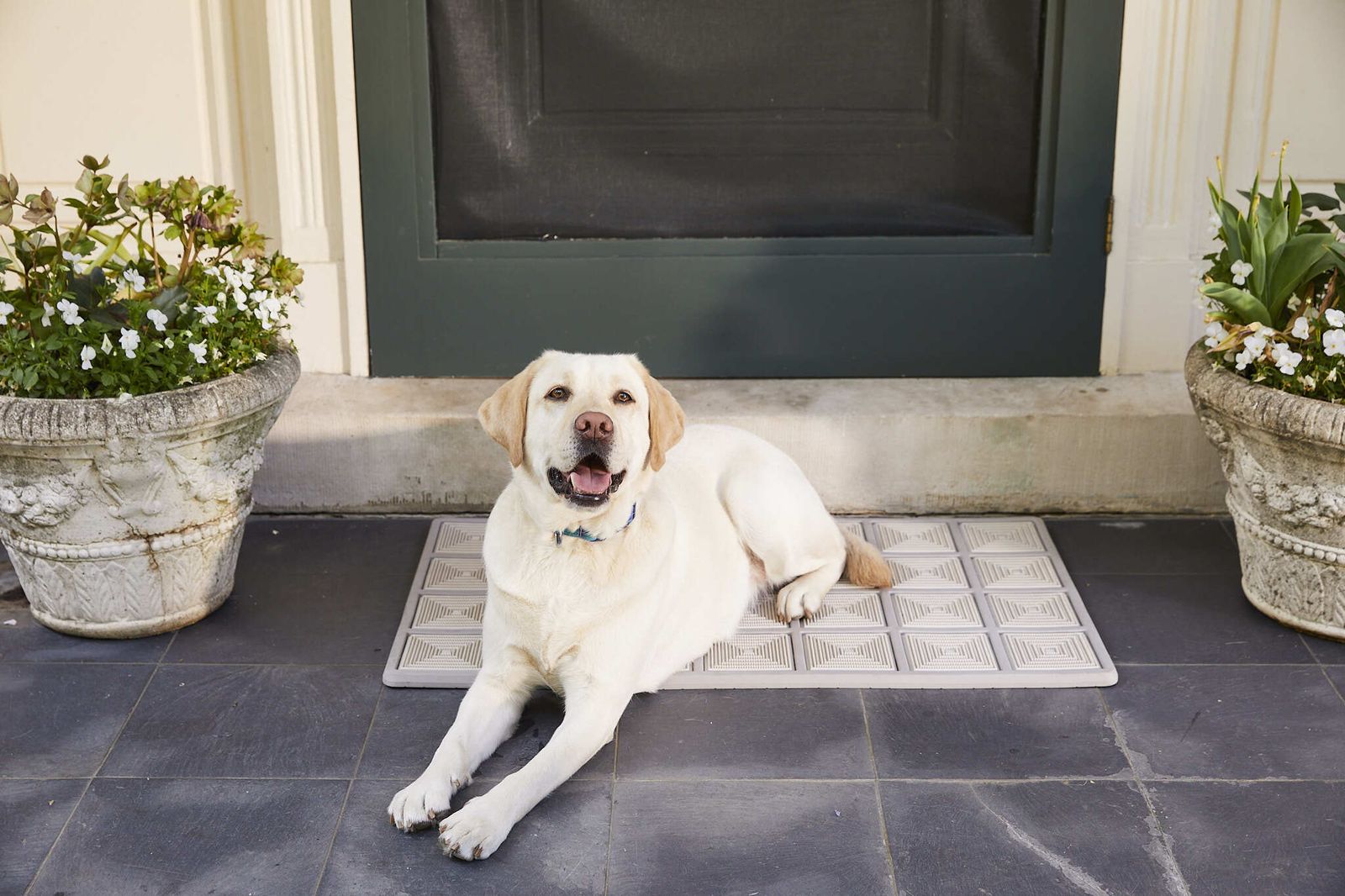 The Best Doormats, Runners, and Area Mats to Elevate Your Home | Homes ...