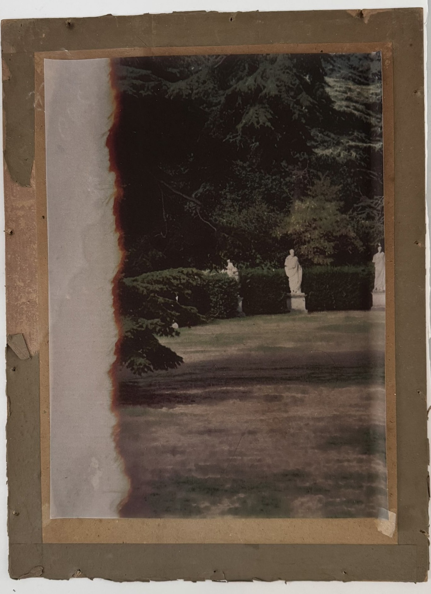 photograph