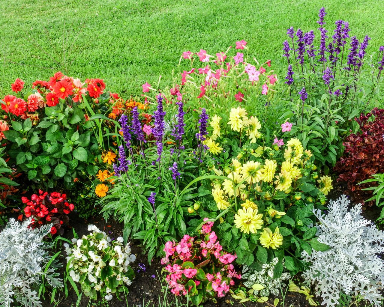 Are bedding annuals sustainable? Andy Sturgeon gives an expert view ...