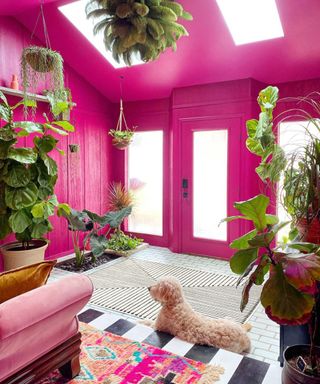 A bright pink living room with plants around it, a pink couch, and a striped rug