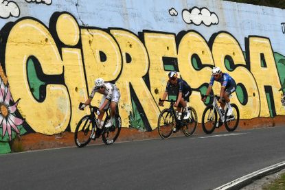 UAE Team Emirate's Slovenian rider Tadej Pogacar (L), Q36.5 Pro Cycling team's British rider Thomas Pidcock (C) and Alpecin-Deceuninck's Dutch rider Mathieu van der Poel ride down the Cipressa during the 117th Milan - Sanremo one-day classic cycling race, on March 21, 2026. (Photo by Marco BERTORELLO / AFP)