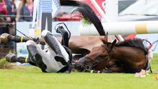 concussion in sport