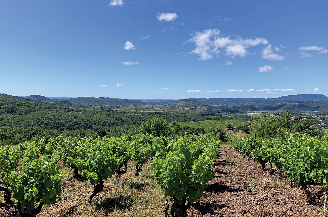 Les Vignes Oubli&amp;eacute;es