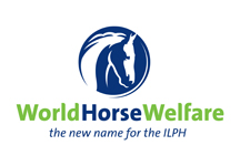World Horse Welfare