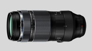 Olympus M.Zuiko 100-400mm f/5.0-6.3 gives you up to 1600mm of reach!