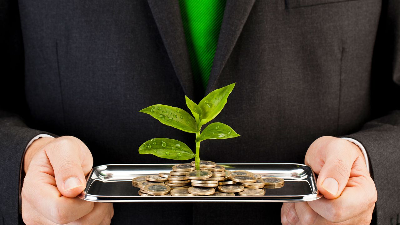 Person holding tablet with coin money on it and a leave growing out of the coins