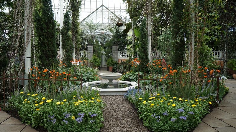 Image Gallery: 7 Potent Medicinal Plants | Wild Medicine | Live Science