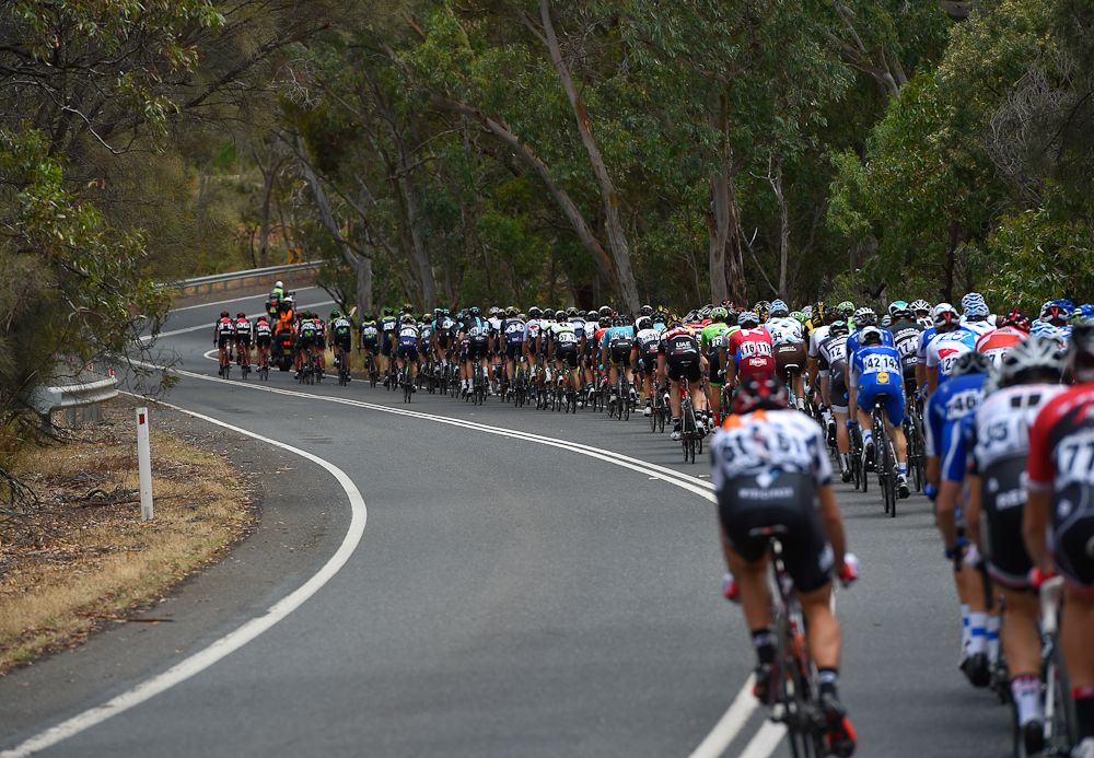 The peloton in action during stage 4 at the Tour Down Under