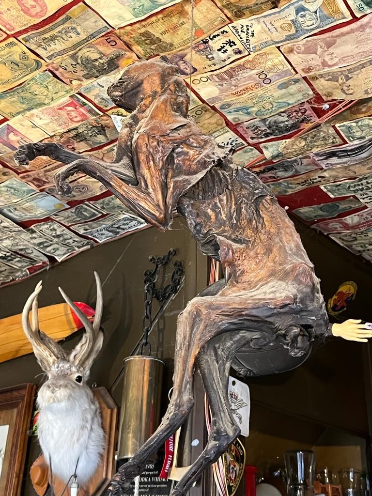 A mummified cat hanging from the ceiling of The Nutshell Pub in Suffolk