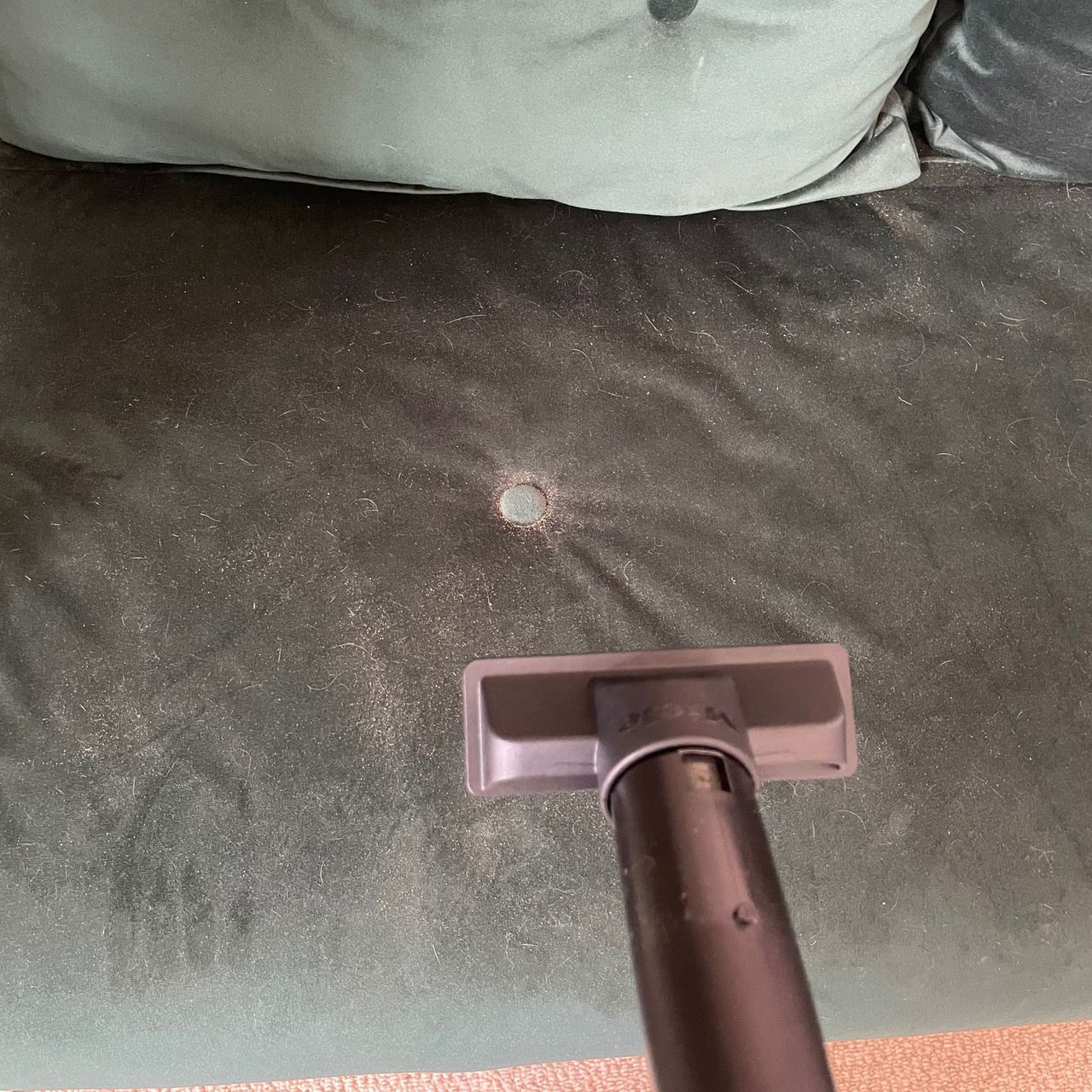 Using the upholstery attachment of the Miele Guard M1 Cat &amp; Dog on a dirty green sofa bed
