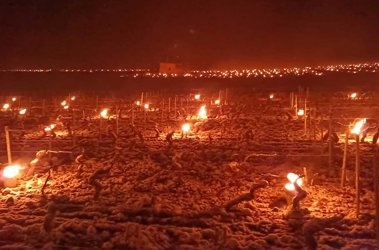 Candles are lit to prevent frost damage in French vineyards in April 2021