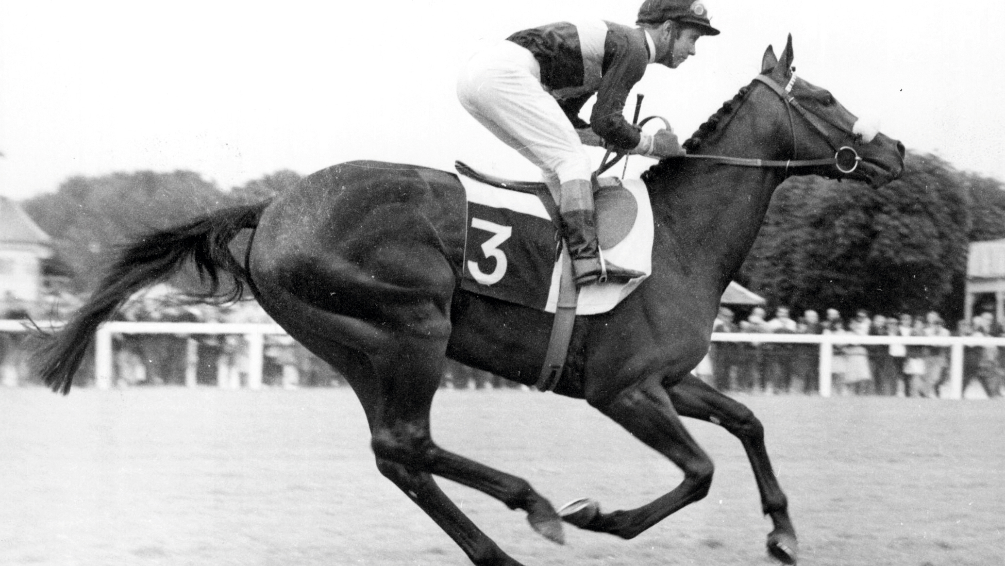 MILL REEF 20 JAN 1971
