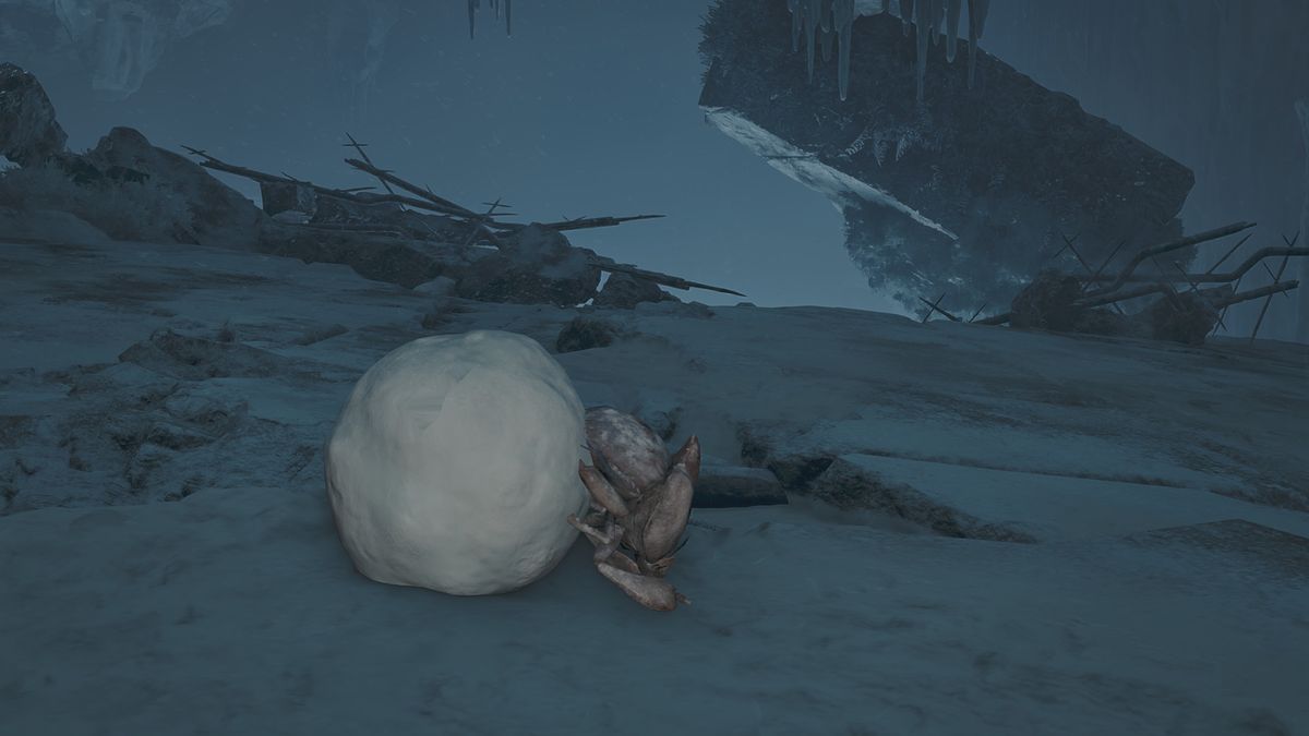 Monster Hunter Wilds - A Rime Beetle rolling a little ball along the cave ground. 