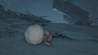 Monster Hunter Wilds - Rime Beetle location guide and map