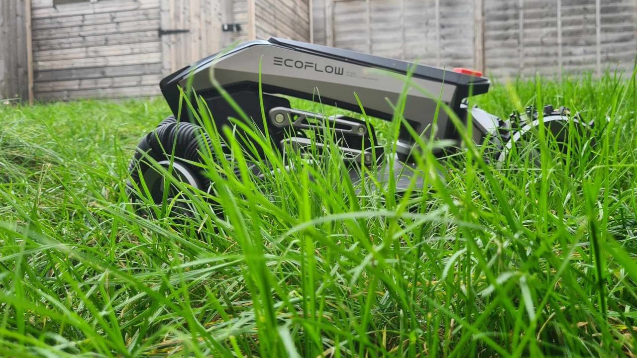 Ecoflow Blade review