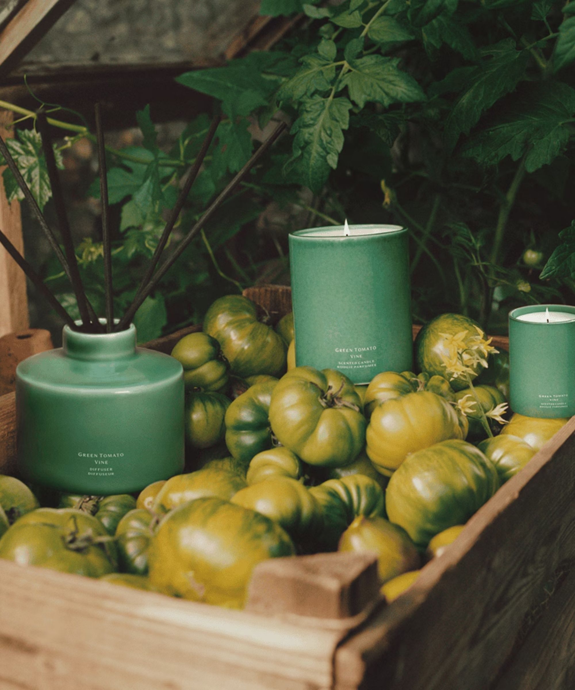 Jo Malone green veggie collection tomato vine scents pictured on a crate of green tomatoes