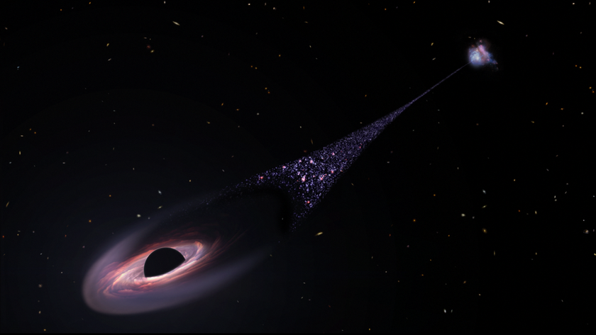 This illustration shows a black field speckled with white, yellow and red galaxies. A black hole, near the left, bottom corner of the image, plows through space, leaving a diagonal trail of newborn stars stretching back to the black hole's parent galaxy.