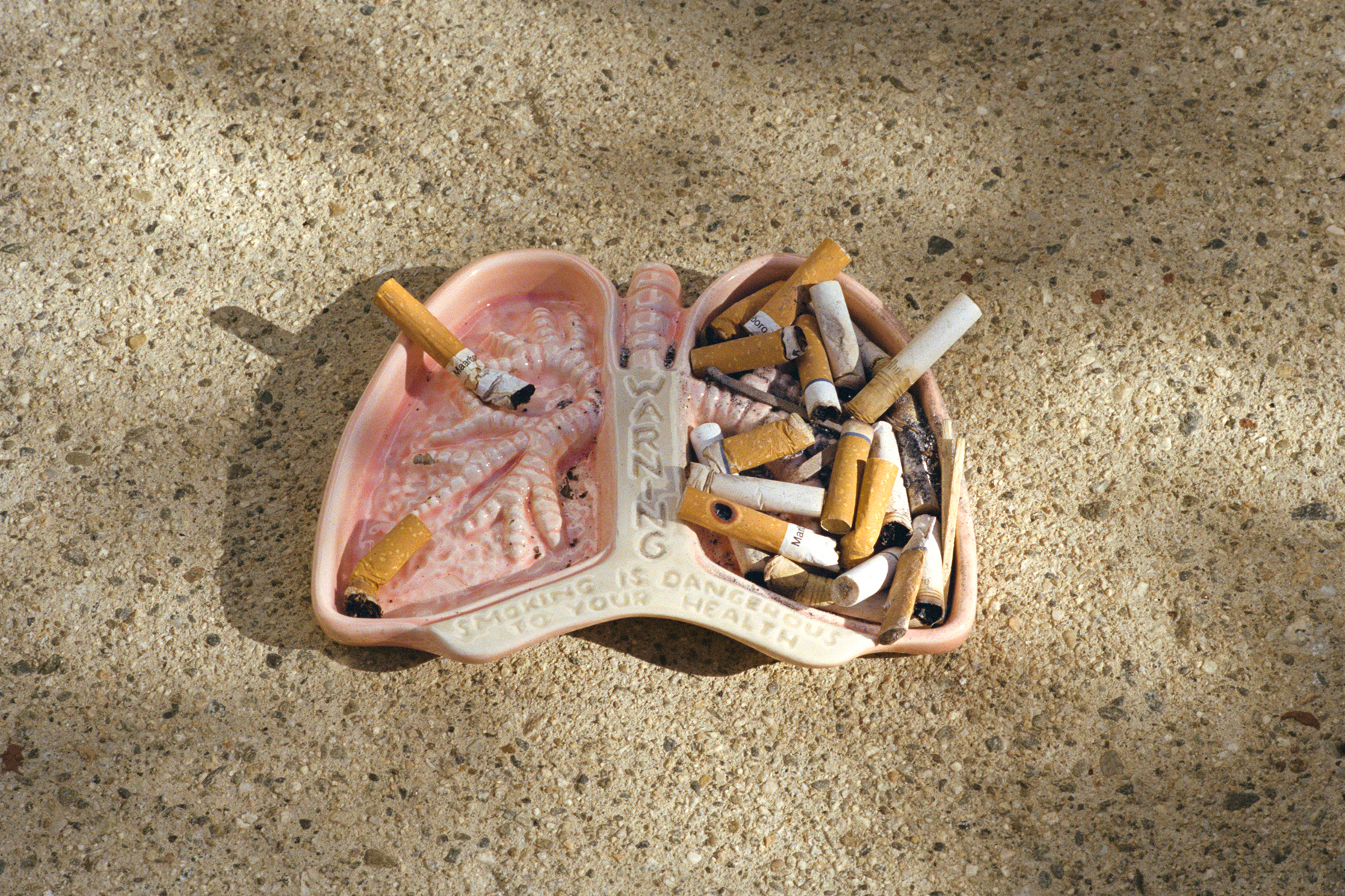 nadie lee cohen holy ohio book