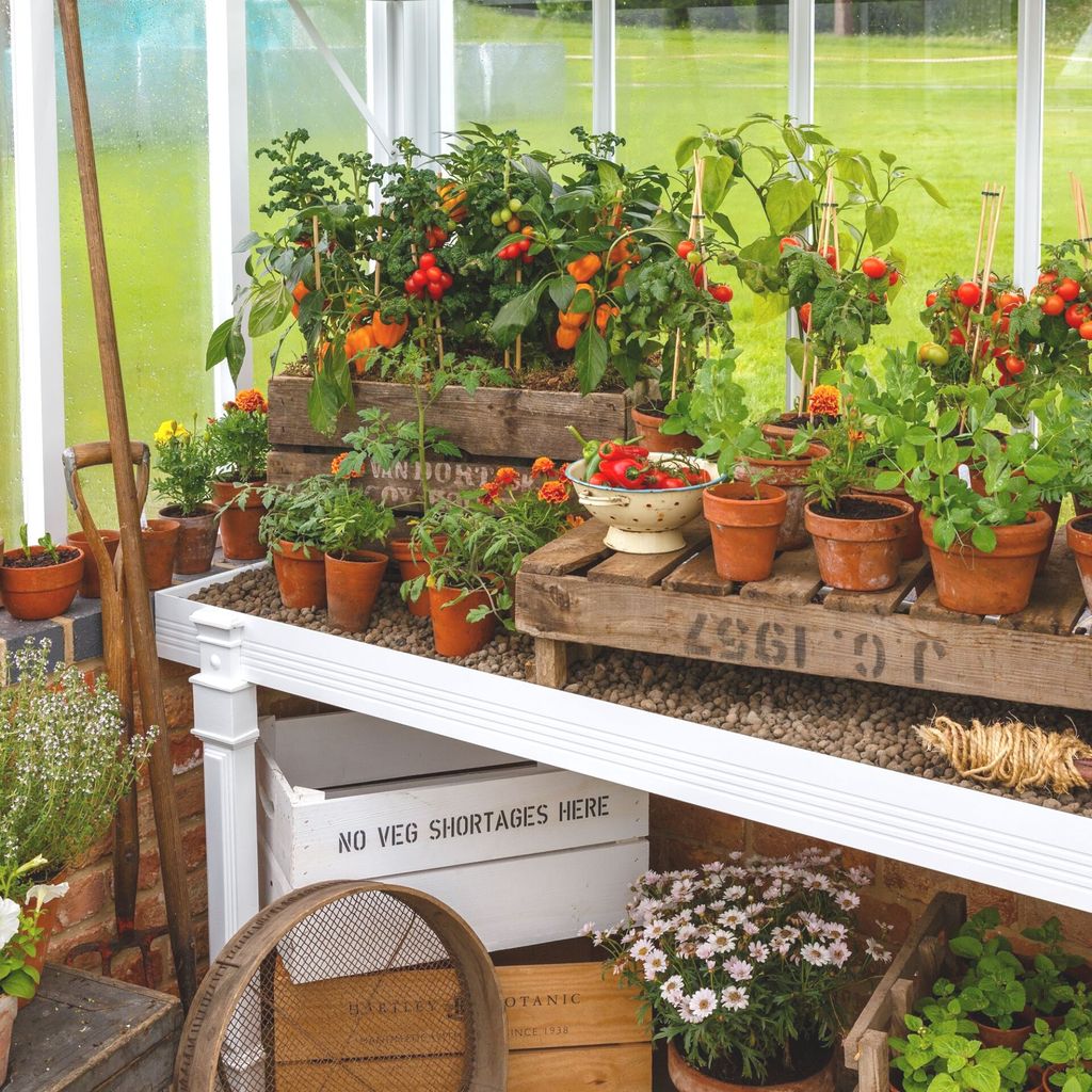 Greenhouse ideas – inspiring ways to use your glass house | Ideal Home