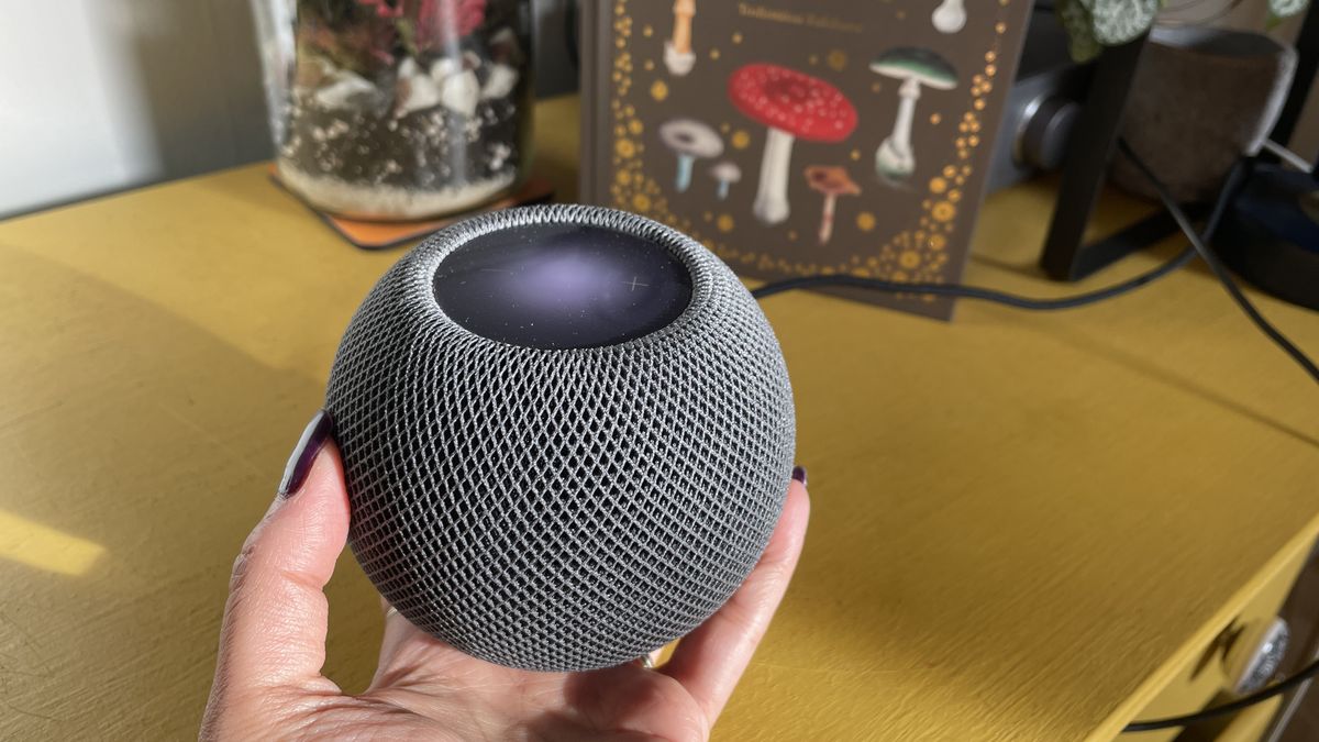 The image shows somebody holding an Apple HomePod Mini smart speaker. It is dark grey with a panel on top showing a purple colour.