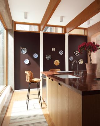 A kitchen with wooden cabinetry and brown painted walls displaying hanging plates