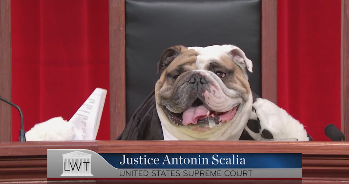 John Oliver finds a brilliant solution to the Supreme Court&amp;#039;s frustrating camera ban: Dogs