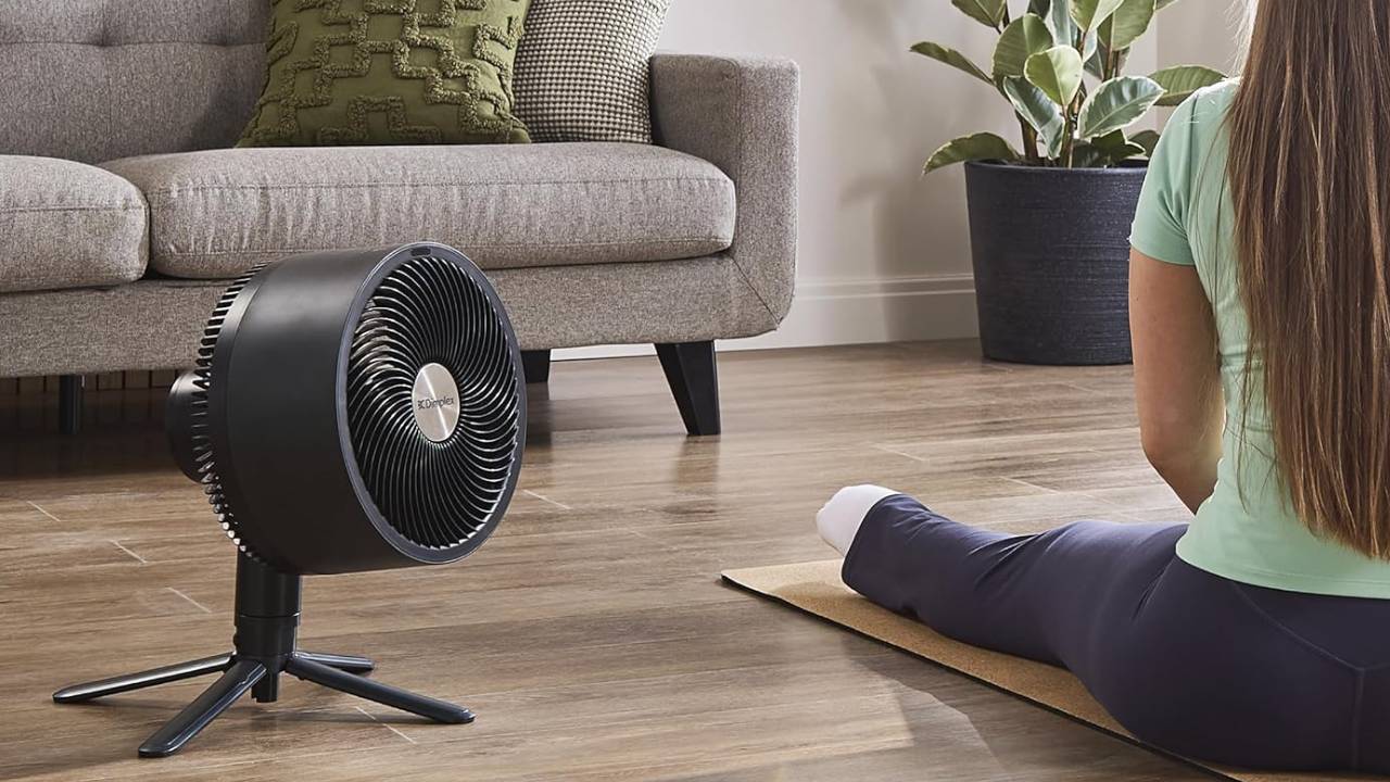 Dimplex DuoCool Smart Cordless 2-in-1 Fan
