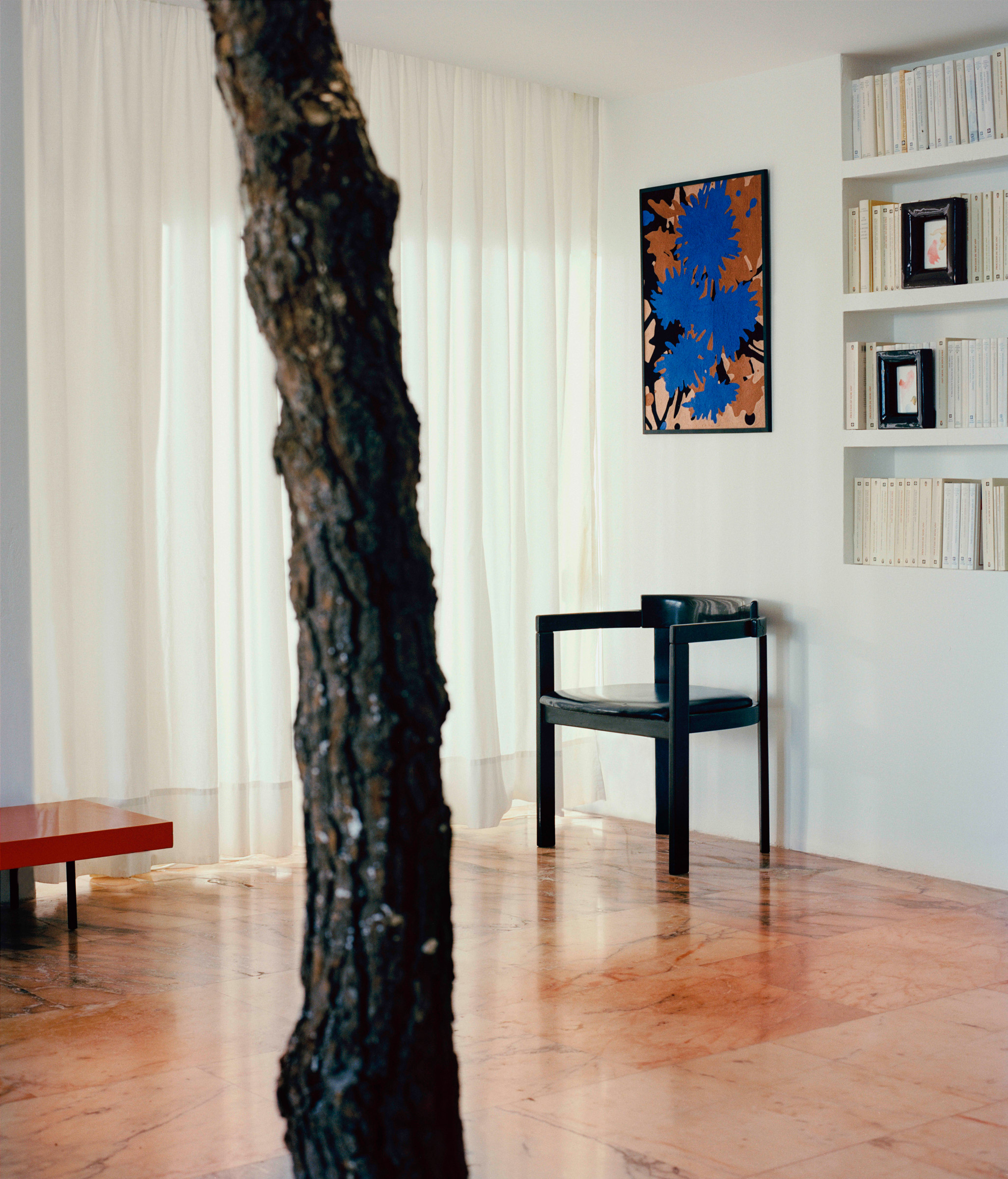 interior room set with tree trunk in foreground
