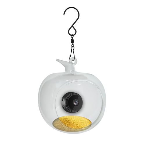 Bird Feeder with Camera