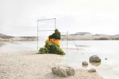 Sea shore with a pile up of asparagus fern, gerberas and fritillarias, framed by scaffolding and plastic.. Photographed during the day