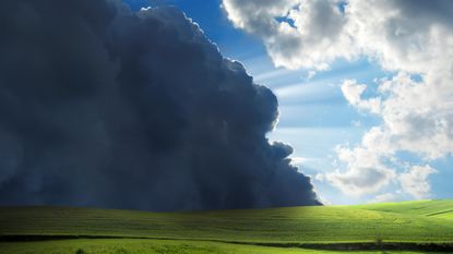 Storm clouds gather over a meadow.