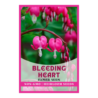 A sachet of bleeding heart flower seeds