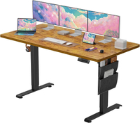 Marsail 63" x 24" Standing Desk