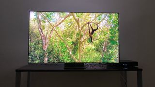 The Samsung QN90B QLED TV showing Planet Earth II
