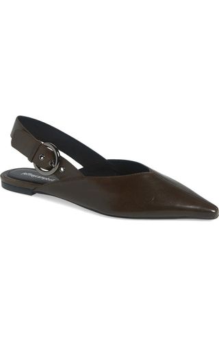 Scone Slingback Pointed Toe Flat