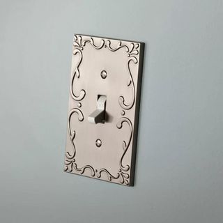 A decorative switch plate in stainless steel