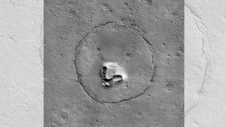A cracked hillside on Mars looks just like the face of a teddy bear
