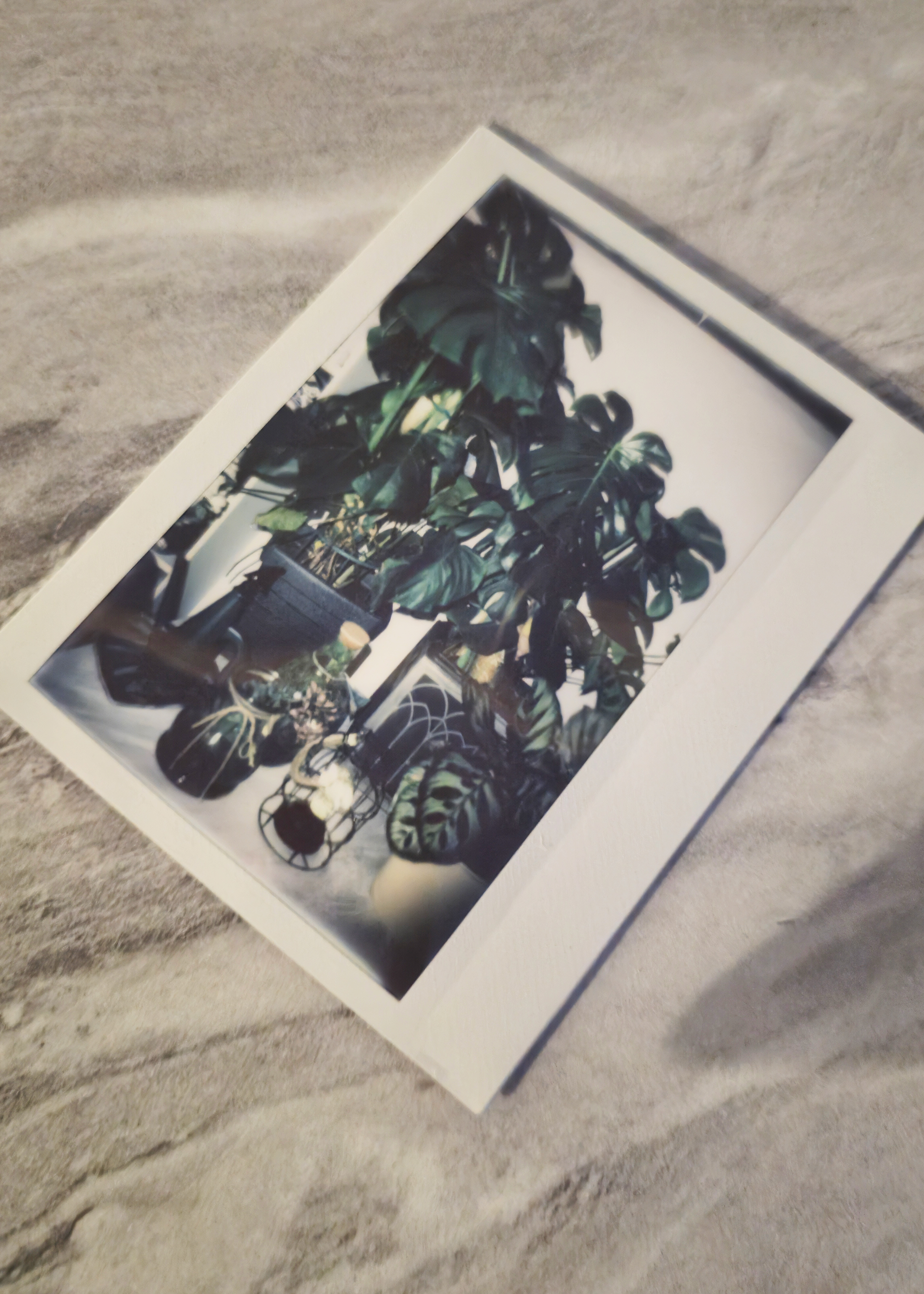 Lomo’Instant Wide Glass sample images