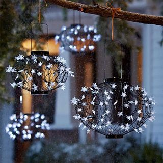 Hanging lights from a tree branch